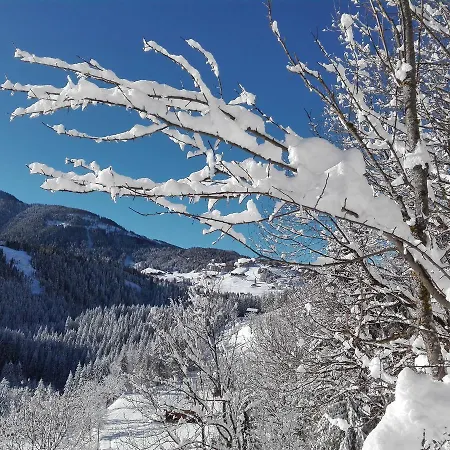 Garni Haus Anita 3* Liesing