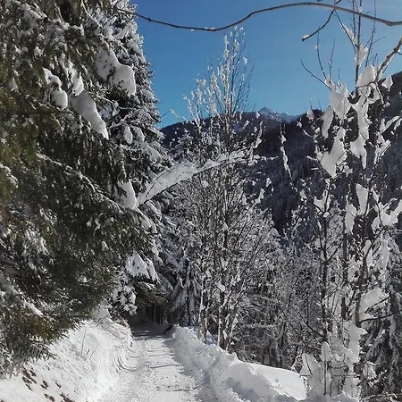 Garni Haus Anita Pensionat Liesing