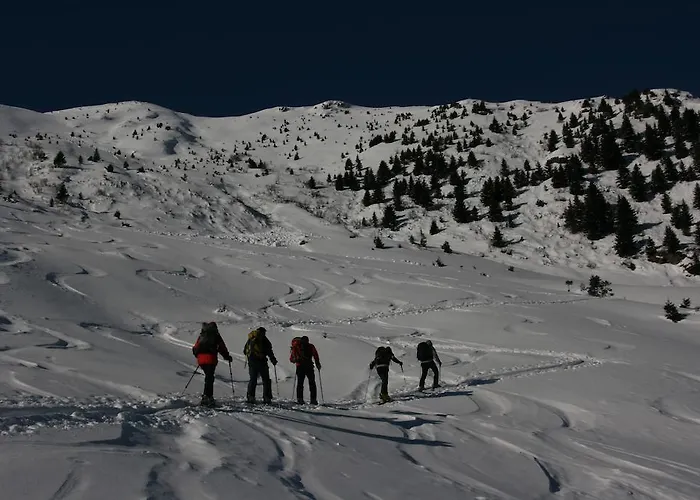 Affittacamere Garni Haus Anita Liesing