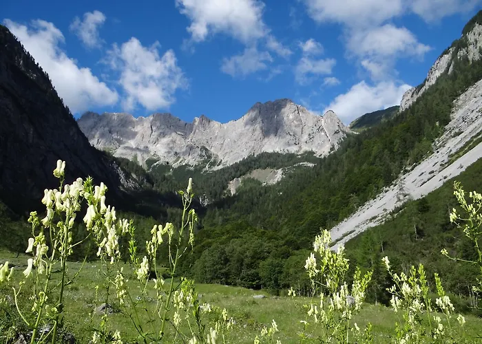 Garni Haus Anita Affittacamere